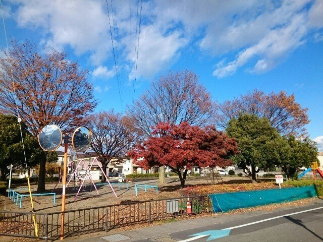 ニューシティーＢの周辺|井ノ貝戸公園まで400m