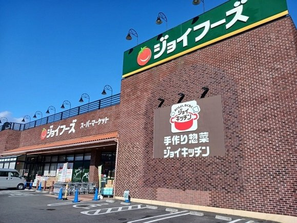 サン・フィオーレ　Ⅲの周辺|ジョイフーズ高崎西店まで1100m