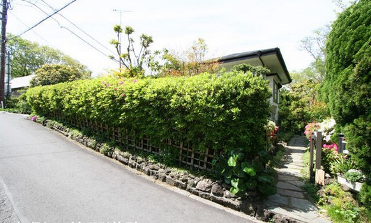 【前面道路含む現地写真】 | 大室高原別荘地　戸建