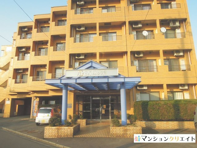 アペックス四ツ井