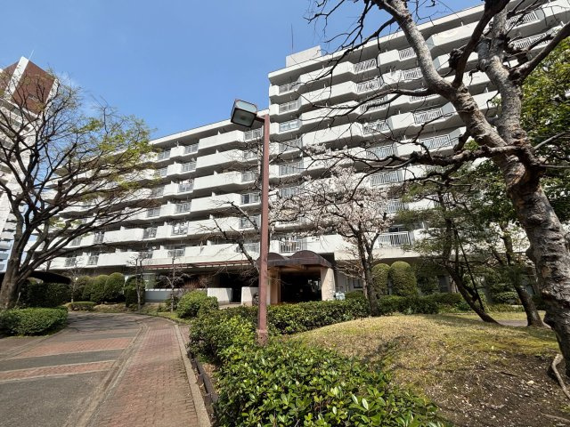 ■南向きの外観が、穏やかな陽光を迎え入れ、温かみのある住まいを演出。明るい日差しがあなたの毎日を照らします。