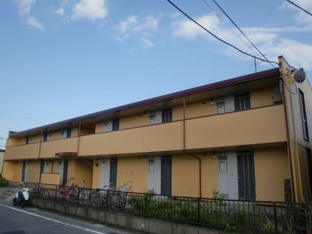 外観もきれいです