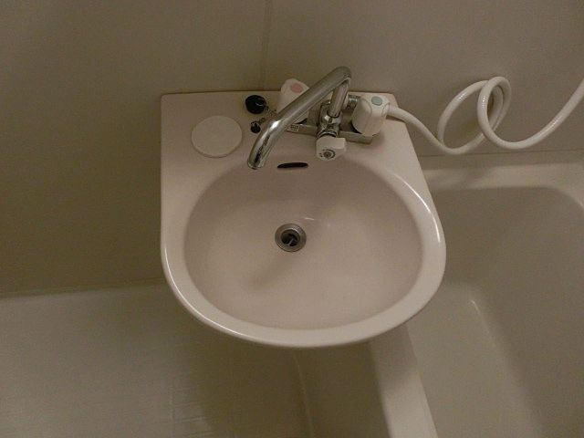 フラットさつきVの洗面所