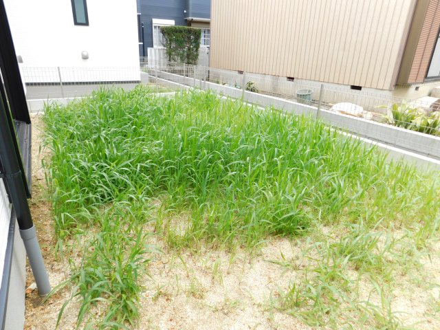 名古屋市中川区吉津３丁目の新築一戸建の庭|◇庭◇　　家族の憩いの場になる広い庭付き♪
