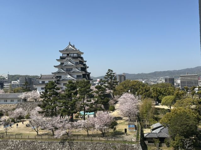 グランドメゾン丸之内の展望