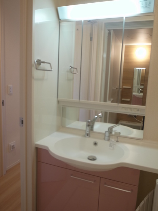 HN's D-room in 楡の洗面所
