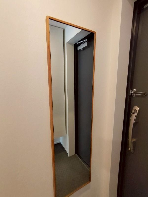 IL MEZZO DI TOKYO，TREのその他