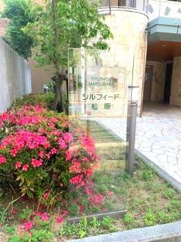  | シルフィード松原 | 敷地内駐車場・駐輪場・バイク置場有り！空き状況・月額使用料は都度お気軽にお問合せください。