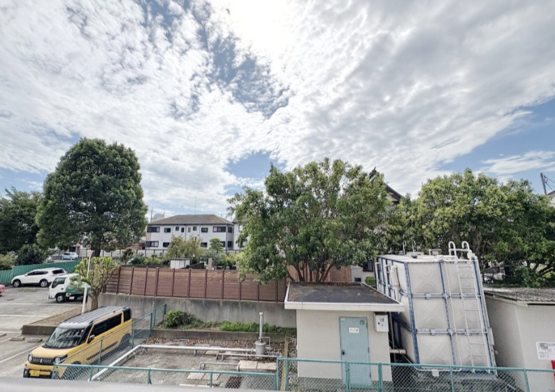 エクセルコートの展望