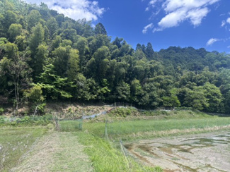  | 丹波篠山市下原山　戸建て