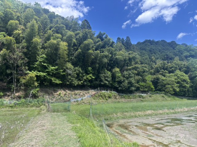  | 丹波篠山市下原山　戸建て