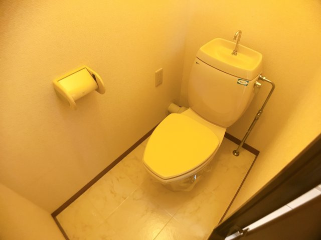 グリーンハイツ出川のトイレ