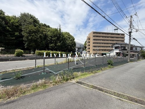 伊勢原市善波　土地（売地）　建築条件なし　全2区画