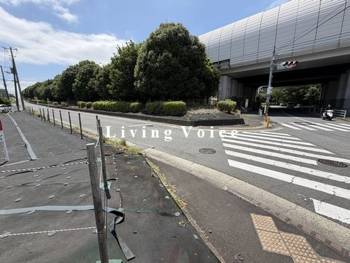 伊勢原市善波　土地（売地）　建築条件なし　全2区画の前面道路含む現地写真|伊勢原市善波　土地（売地）　建築条件なし　全2区画