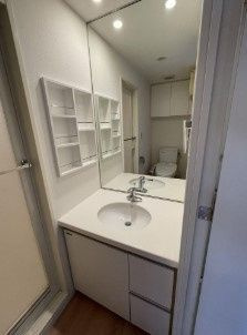 アーバンフラッツ池袋プレミアムの洗面所