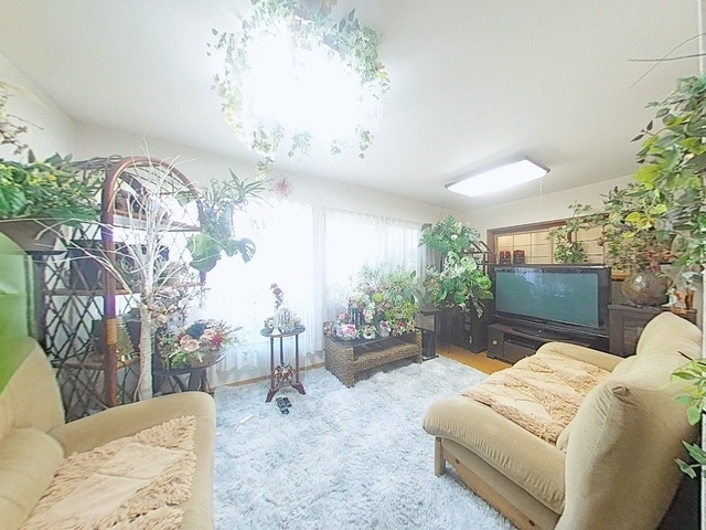 「サンルーム付」高知市二葉町　中古一戸建ての洋室|柔らかな光が差し込む、ゆとりある広さの寛ぎリビング。
