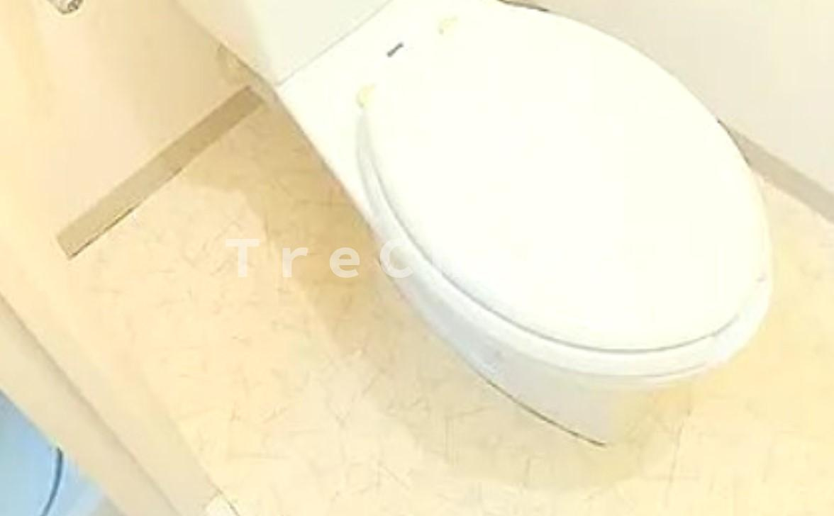 南大泉ヴィクトリアハイツのトイレ
