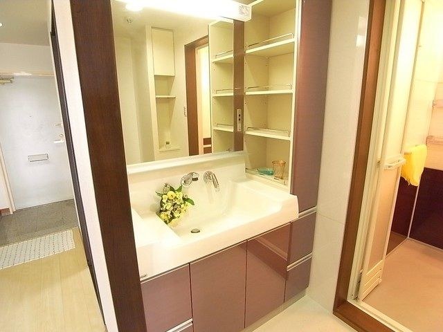 アルファステイツ入船町の洗面所