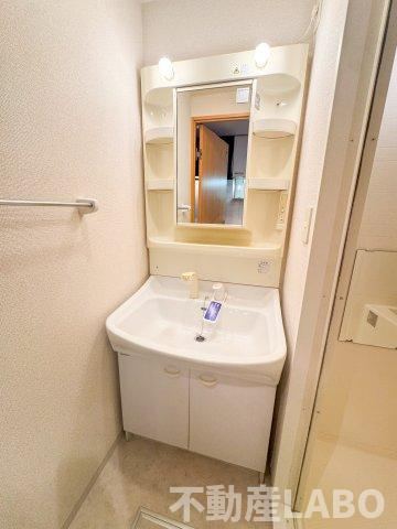 シャルマンフジ阿波座イーストの洗面所