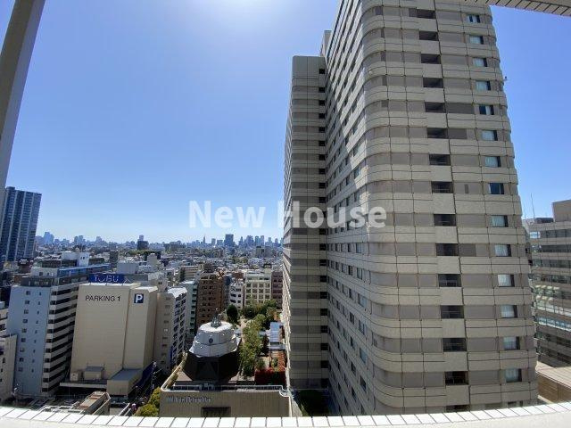 アーバンフラッツ池袋プレミアムの展望