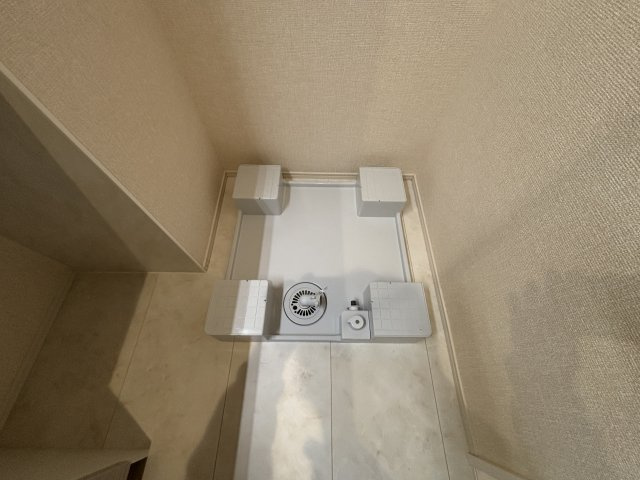 ルーチェ・フォレのその他