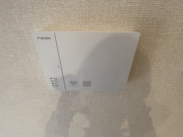ルーチェ・フォレのその他