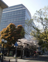 コフィオ神戸元町の画像