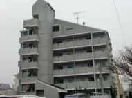 THE　COMFORTの画像