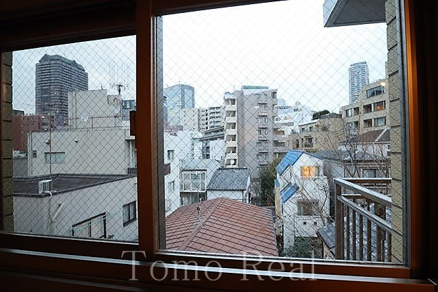 レジディア六本木檜町公園の展望