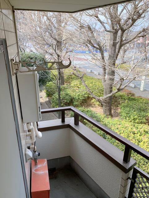 セイントパークの展望