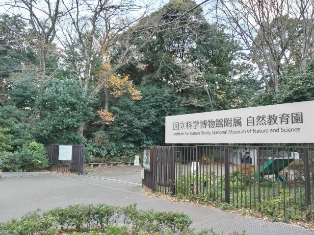 【周辺】 | ランドステージ白金台 | 自然教育園まで約700ｍ