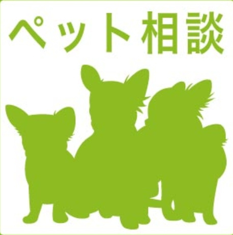 【その他】 | SHOKEN Residence 名古屋〈太閤通〉 | ※イメージ写真です