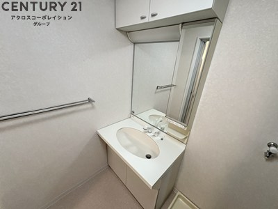 アメニティ収納棚ありの独立洗面台です