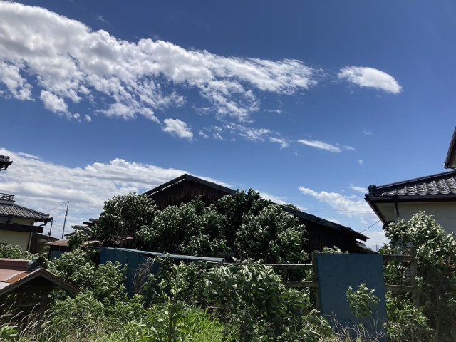 鴻巣市原馬室　売地の外観