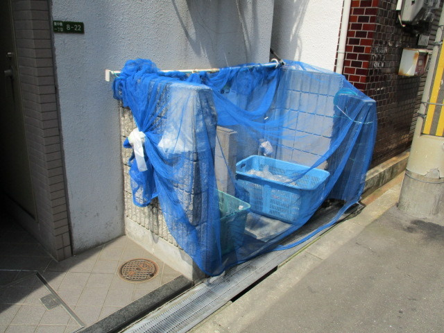 ＧＲＥＡＴ新大阪