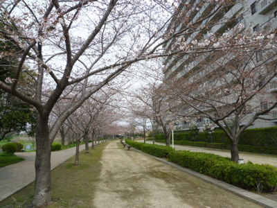 【その他】 | グランデュール鴨川Ⅱ番館