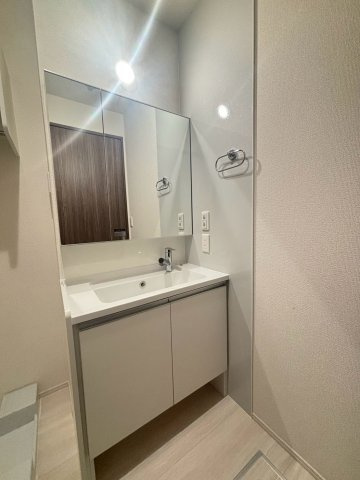 D-ROOM分梅の洗面所