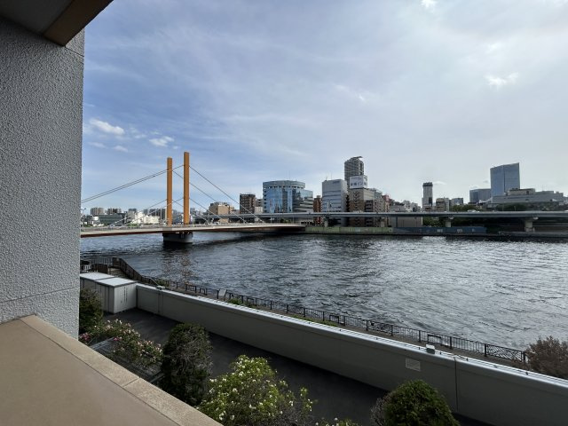 クレッセント東京ヴュータワーの展望