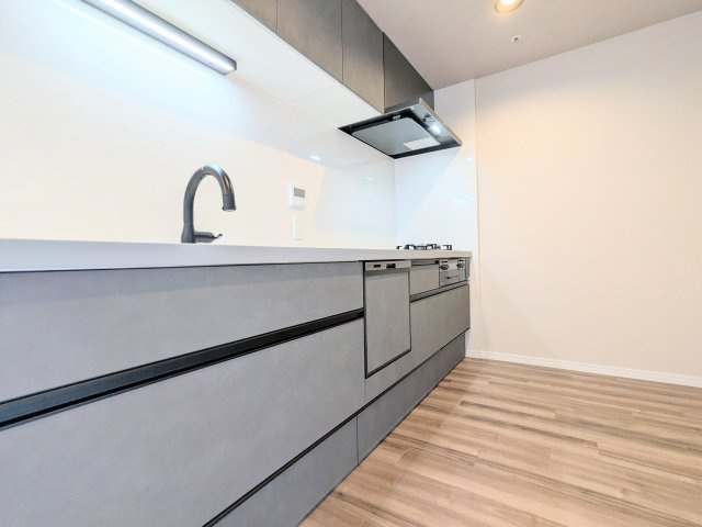 TOWER RESIDENCE TOKYOのキッチン|～ディスポーザーならびに食器洗浄乾燥機付のシステムキッチン写真～ 日々の洗い物の負担が軽減されます！
