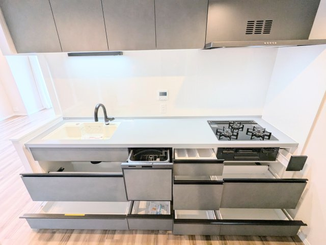 TOWER RESIDENCE TOKYOのキッチン|～ディスポーザーならびに食器洗浄乾燥機付のシステムキッチン写真～ 日々の洗い物の負担が軽減されます！