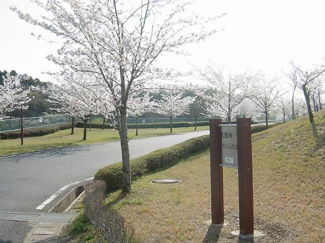 【周辺】 | さくらの丘公園まで2,000ｍ