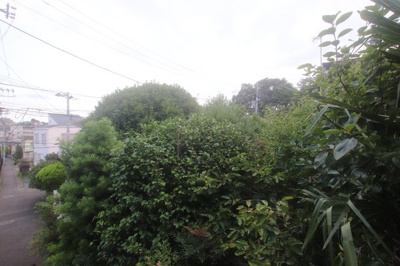 景色