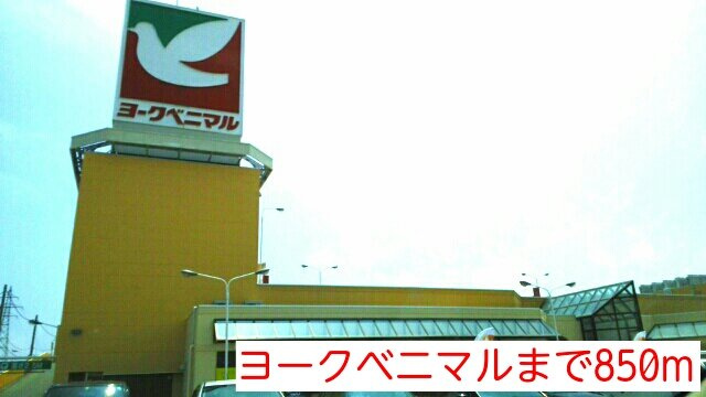 ＦＡＩＮの周辺|ヨークベニマルまで850m