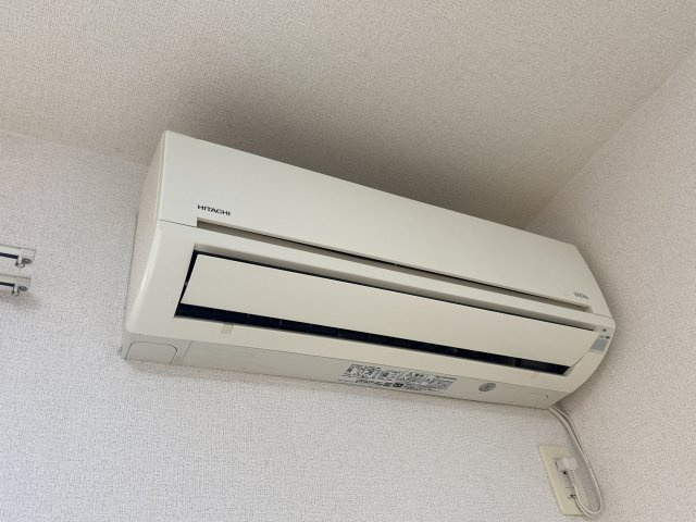 ミモザの玄関