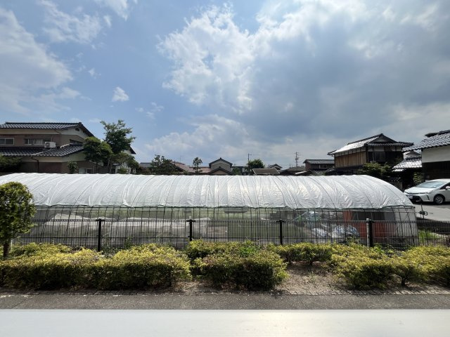 シーガーディアンⅡの展望