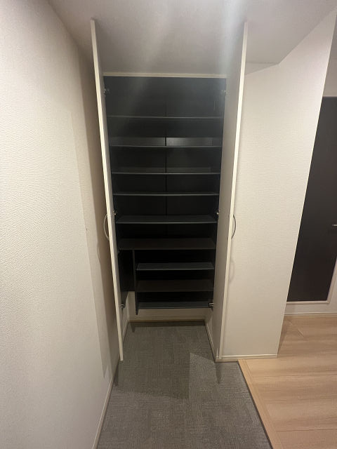 セジュール武庫之荘の収納|こまごまとしたものを収納できそうですね