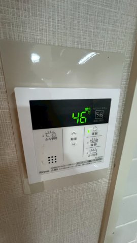 プリメーラリヨンⅡのその他