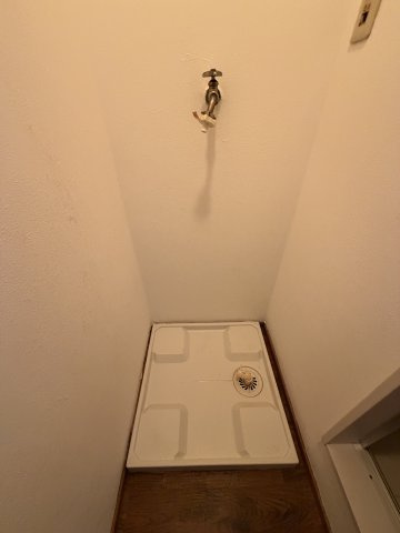 オリーブのその他