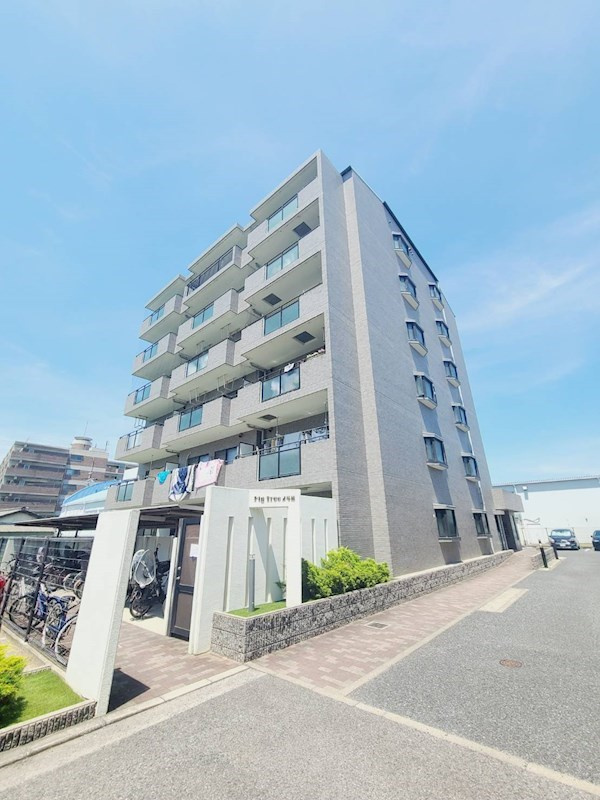 FigTree2号館
