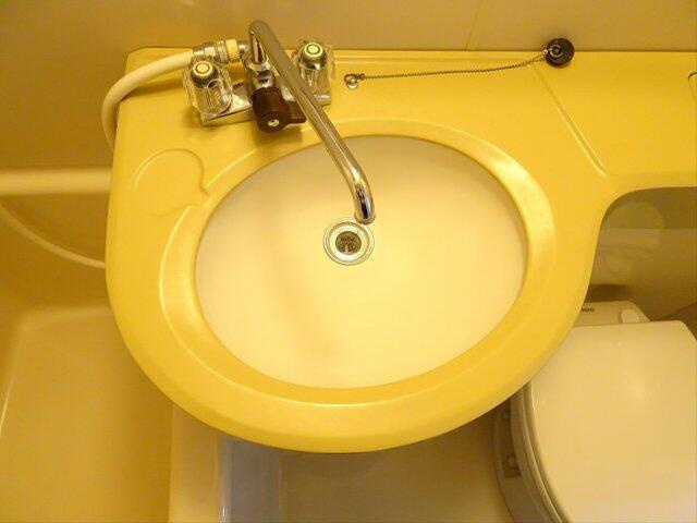 シェモア北沢の洗面所